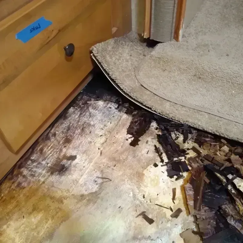 Wood Floor Water Damage in Spring Valley, WI